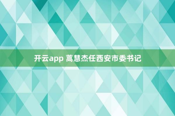 开云app 蒿慧杰任西安市委书记